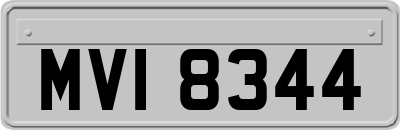 MVI8344