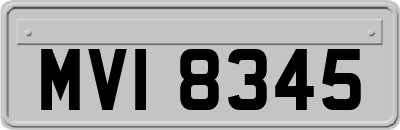 MVI8345
