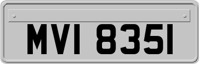 MVI8351