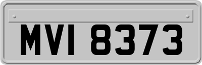 MVI8373