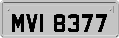 MVI8377