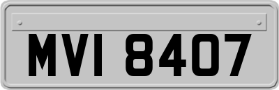 MVI8407
