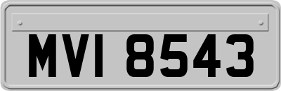 MVI8543