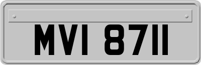 MVI8711