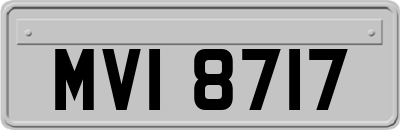 MVI8717
