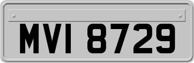MVI8729