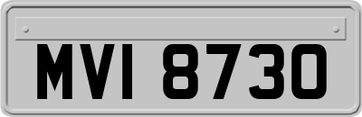 MVI8730