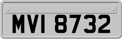 MVI8732
