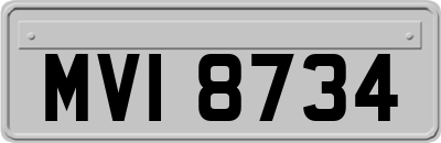 MVI8734