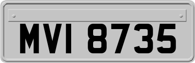 MVI8735