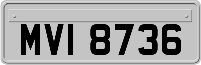 MVI8736
