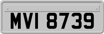 MVI8739