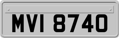 MVI8740