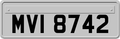 MVI8742