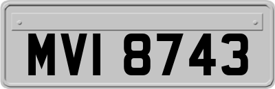 MVI8743