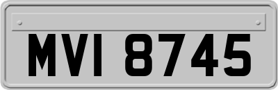 MVI8745