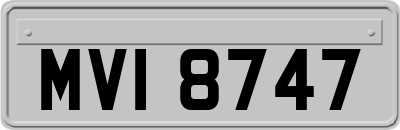 MVI8747