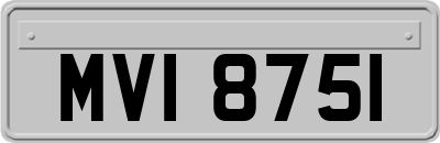MVI8751
