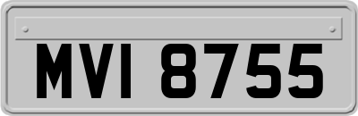 MVI8755