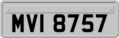 MVI8757