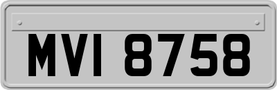 MVI8758