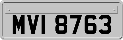 MVI8763
