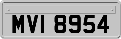 MVI8954