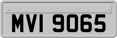 MVI9065