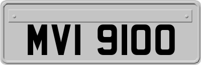 MVI9100