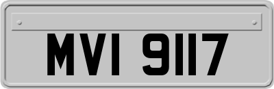 MVI9117