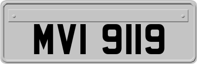 MVI9119