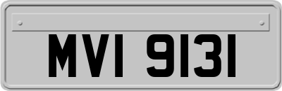 MVI9131