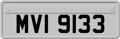 MVI9133