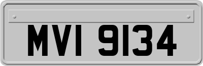 MVI9134