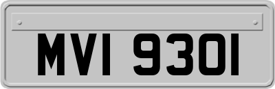 MVI9301