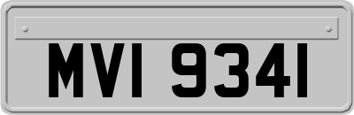 MVI9341