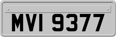 MVI9377