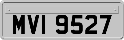 MVI9527
