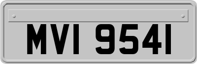 MVI9541