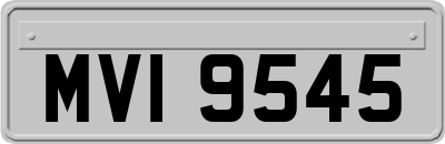 MVI9545