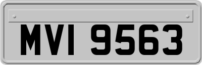 MVI9563