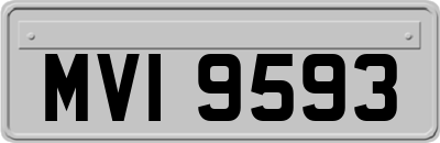 MVI9593