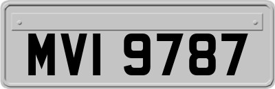 MVI9787