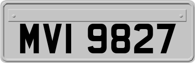 MVI9827