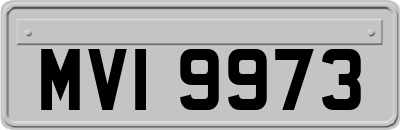 MVI9973