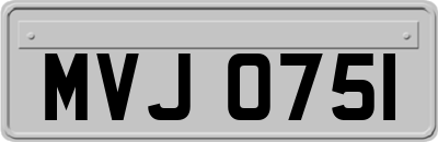 MVJ0751