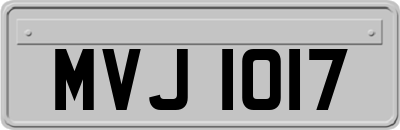 MVJ1017