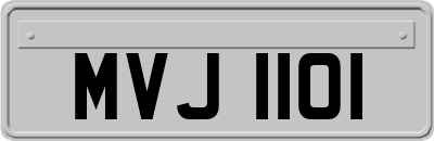 MVJ1101