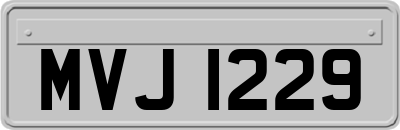 MVJ1229