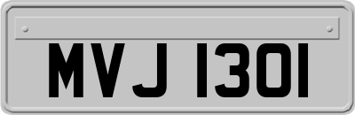 MVJ1301